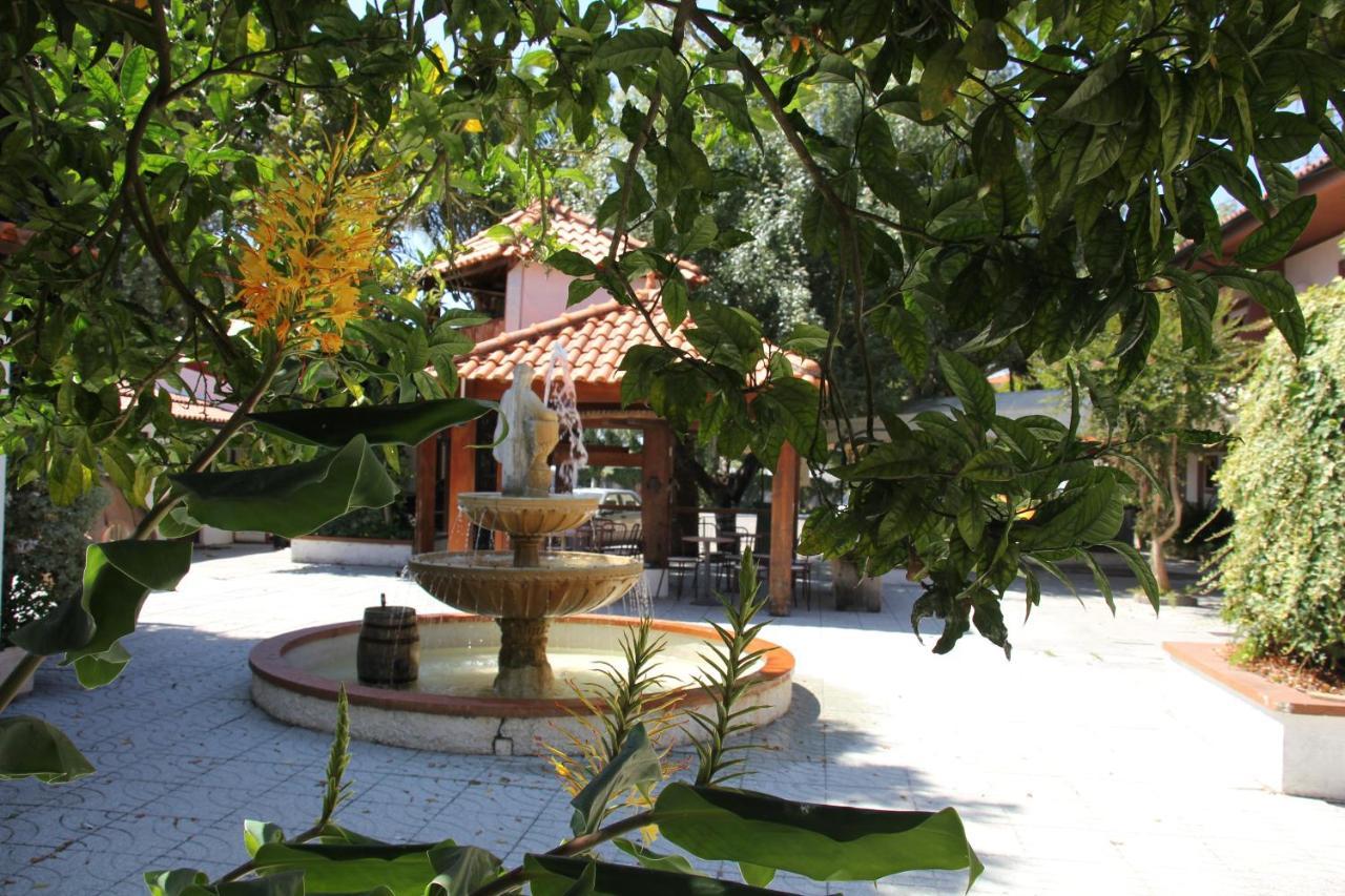 Hotel Joao Capela Aveiro Exteriör bild